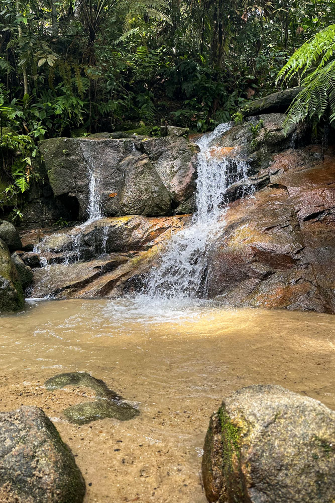 Небольшой водопад в Bukit Kiara Forest