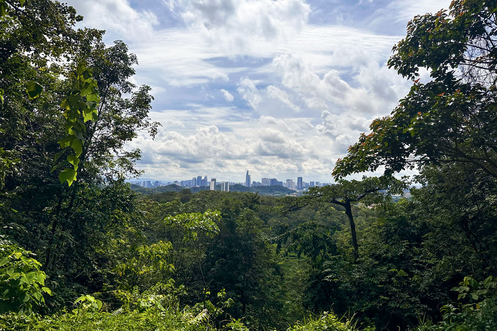 Вид на Куала-Лумпур из Bukit Kiara Forest. Парки и хайкинг в Куала-Лумпуре
