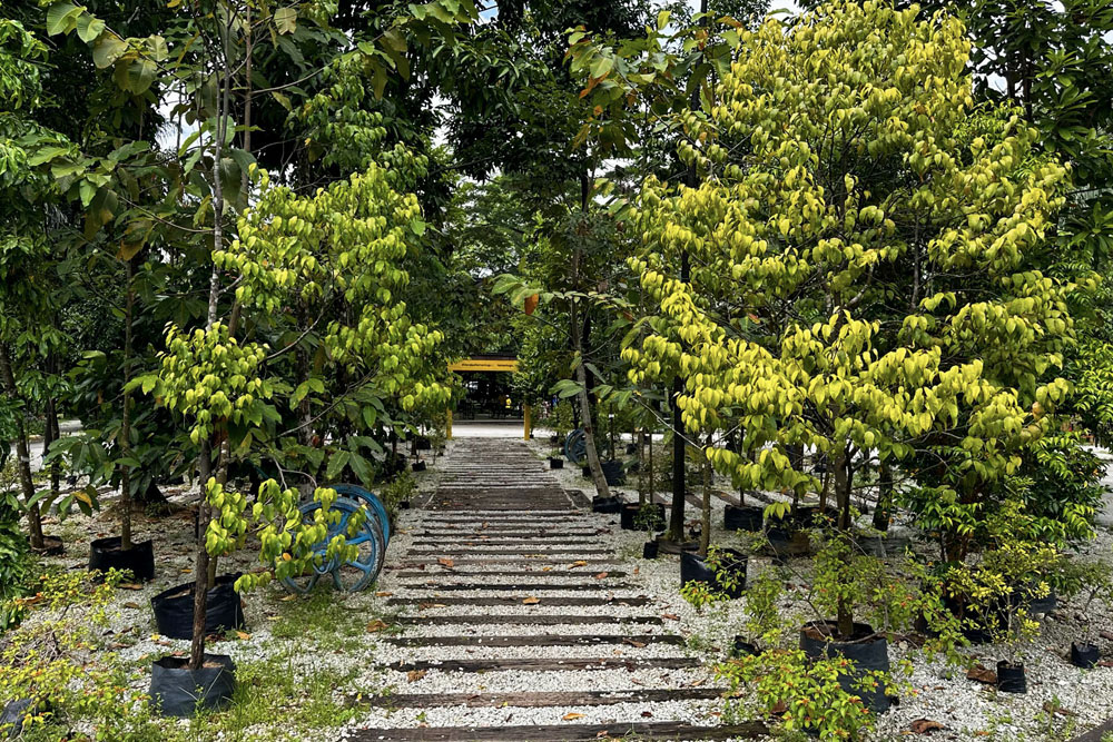Taman Tugu Hiking Park