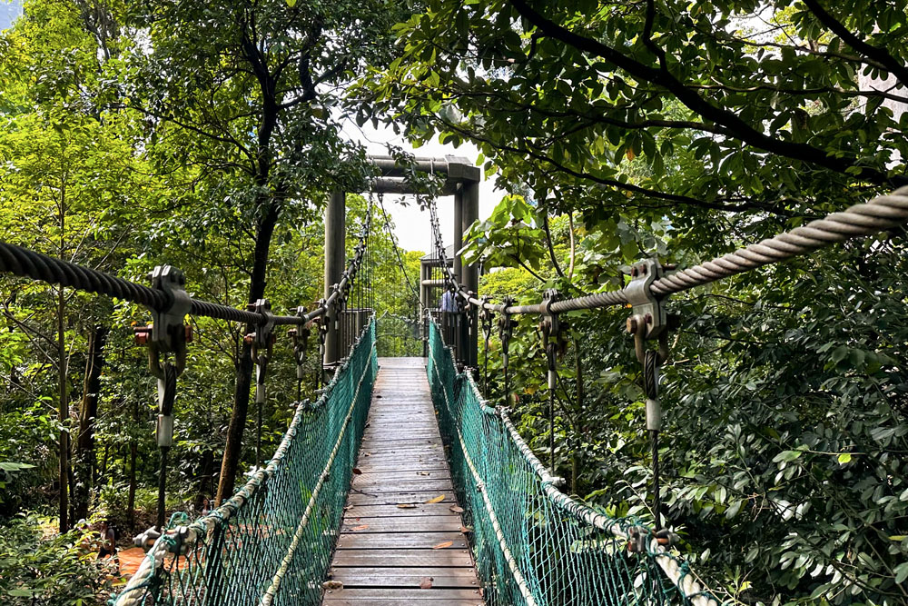 Подвесные мосты в KL Forest Eco Park