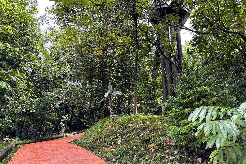 Дорожки в KL Forest Eco Park