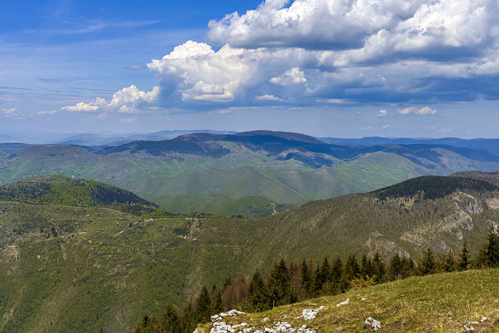 Пик Буковик