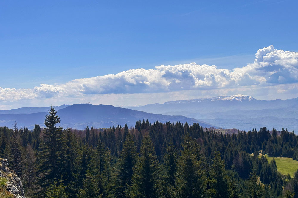 Пик Буковик