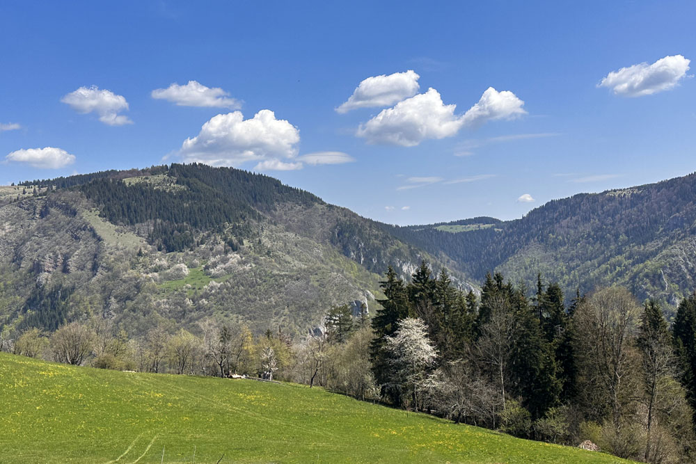 парк Скакавац