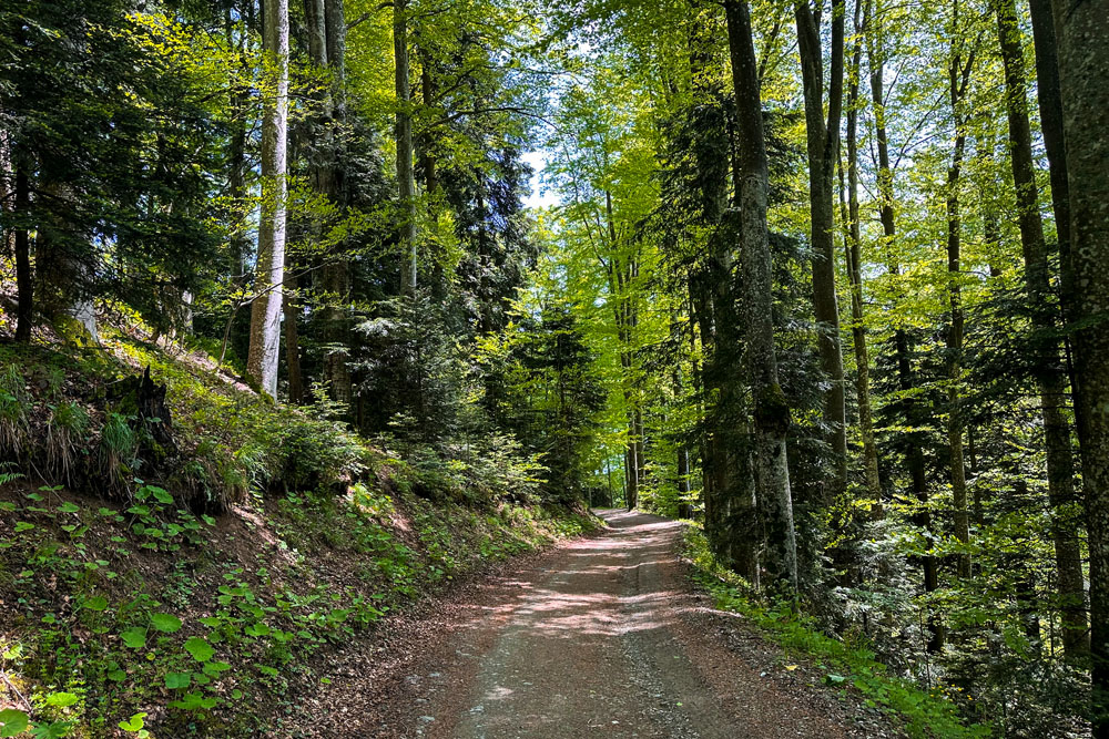 Хайкинговые тропы парка Sljeme