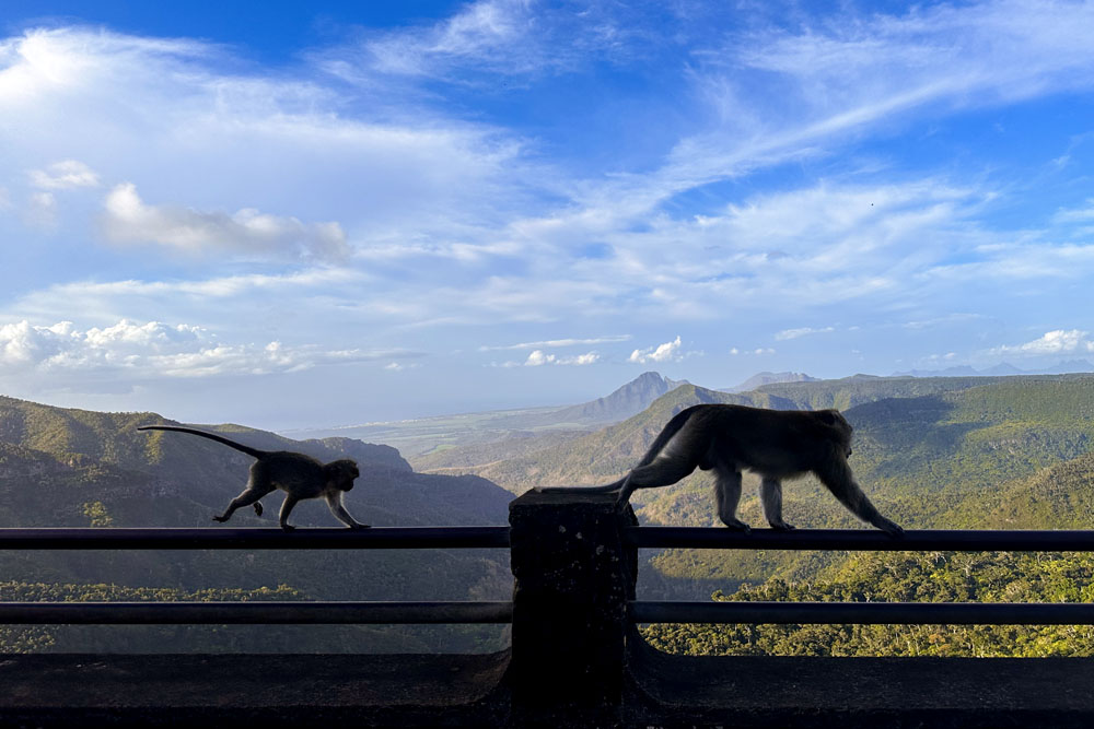Что посмотреть на Маврикии
Gorges Viewpoint