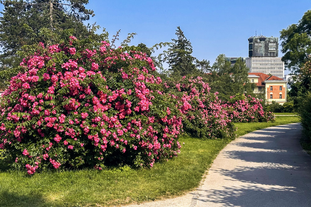 Любляна Парк Тиволи (Tivoli Park)
