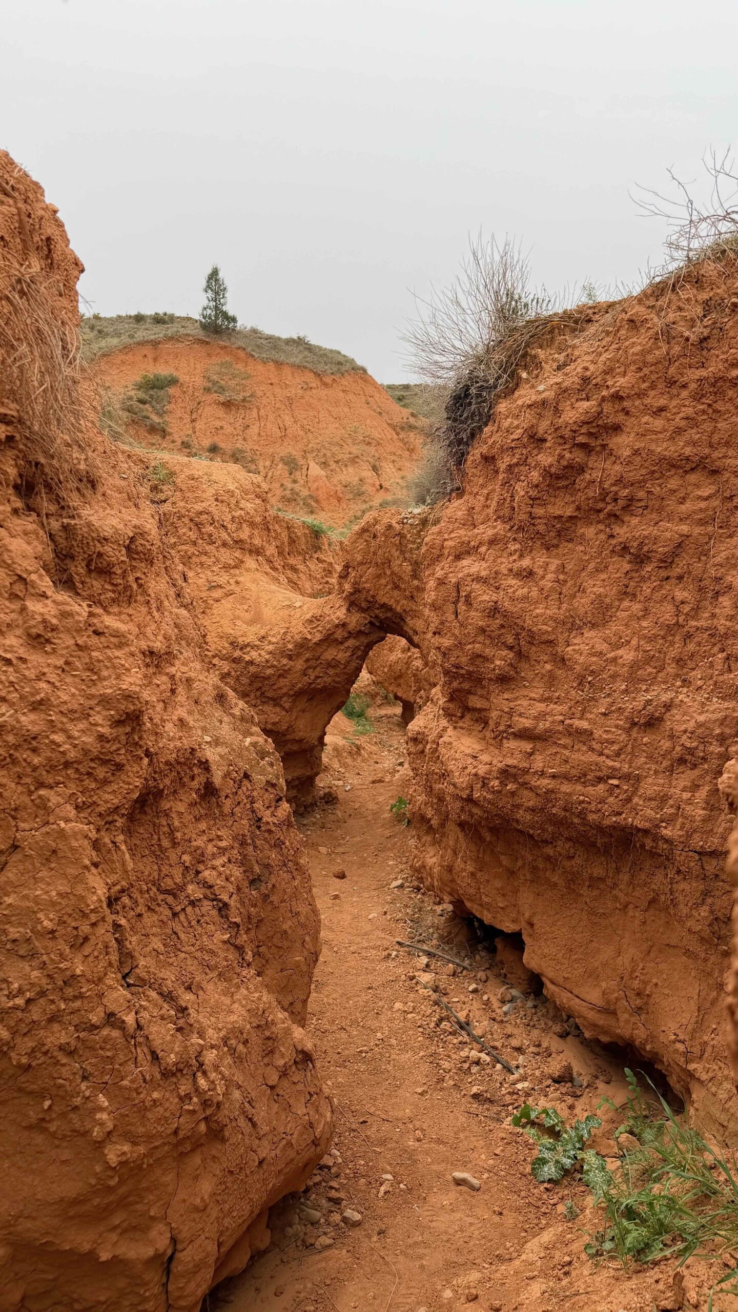 Красный каньон (Cañón Rojo)